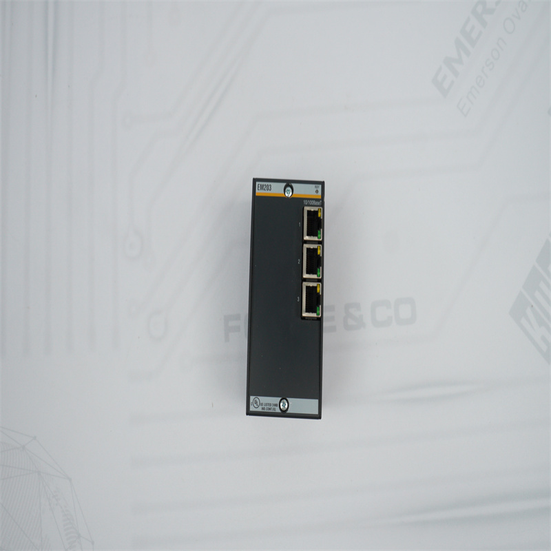 Módulo Ethernet BACHMANN EM203