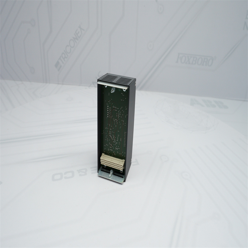 Módulo Ethernet BACHMANN EM203