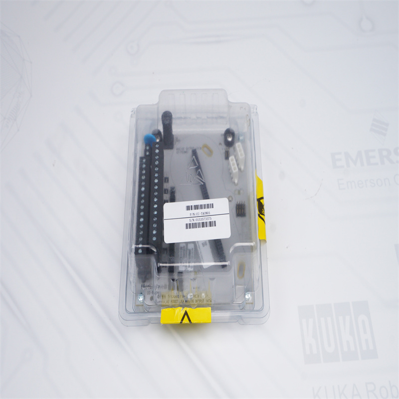 CC-TAON01 51306519-175 Honeywell Analog Çıkış Modelleri