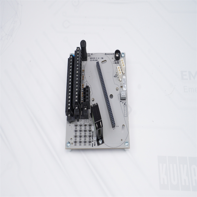 CC-TAIN01 51306513-175 HONEYWELL Analog Giriş Modülü