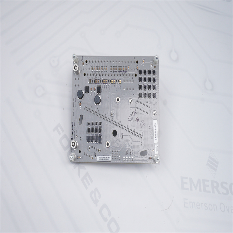 CC-TAIN01 51306513-175 HONEYWELL Analog Giriş Modülü