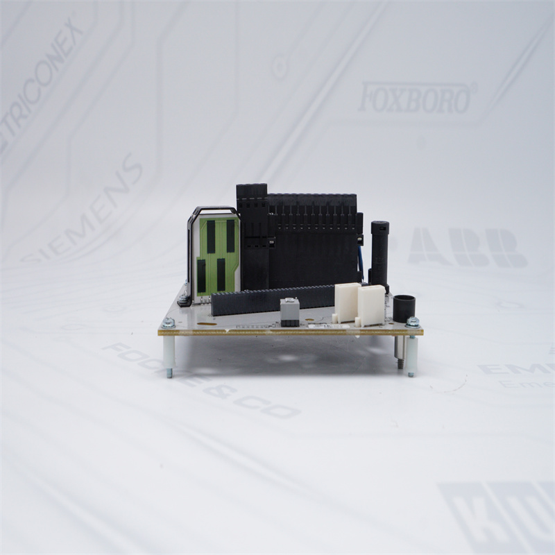 CC-TAIN01 51306513-175 HONEYWELL Analog Giriş Modülü