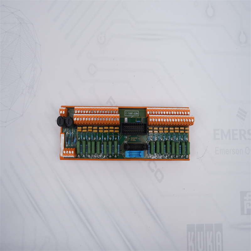 FC-TSHART-1620M HONEYWELL Analog Giriş Alanı