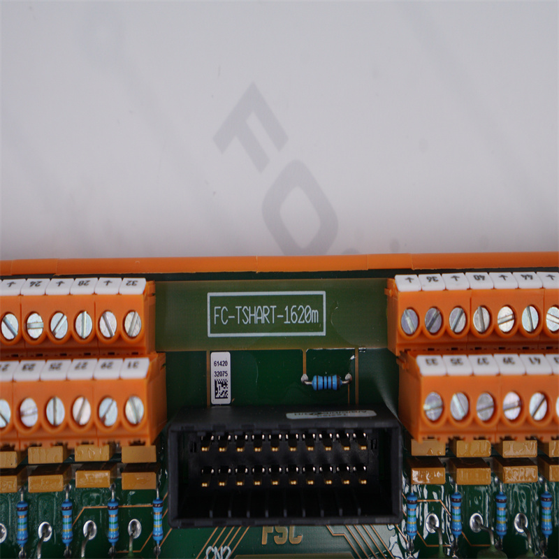 FC-TSHART-1620M HONEYWELL Analog Giriş Alanı