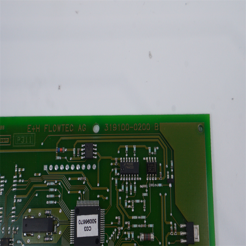 319100-0200 E+H Flowtec Ag Pcb Verici Kartı