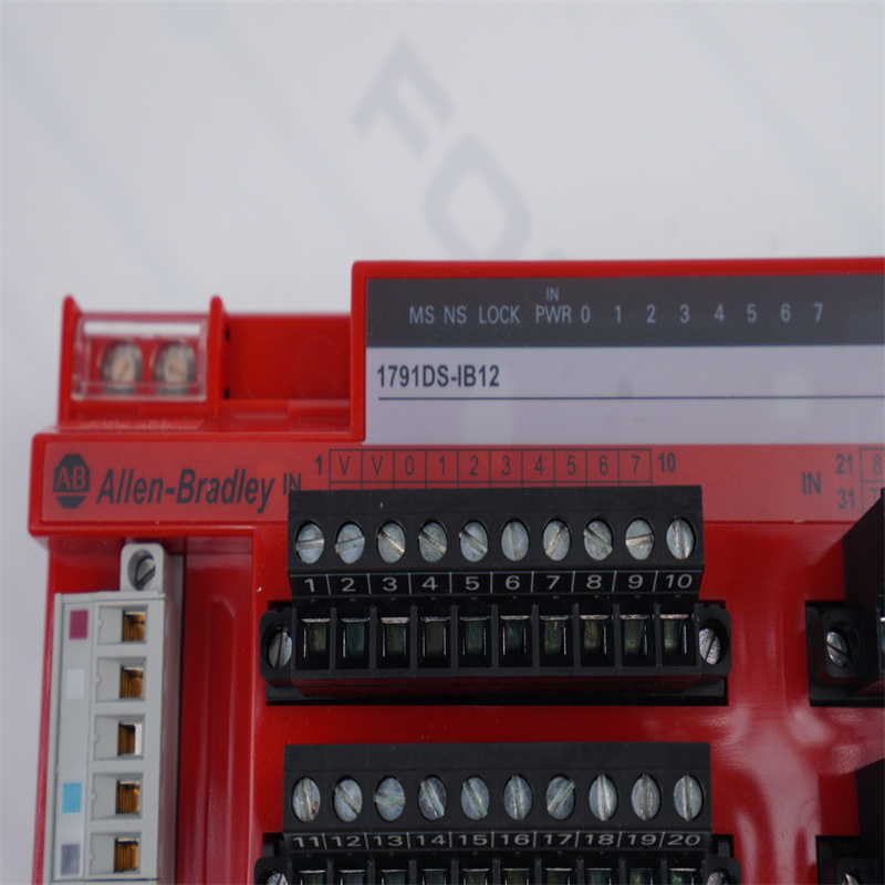 1791DS-IB12 Allen Bradley Guard I/O DeviceNet Güvenlik Giriş Modülü