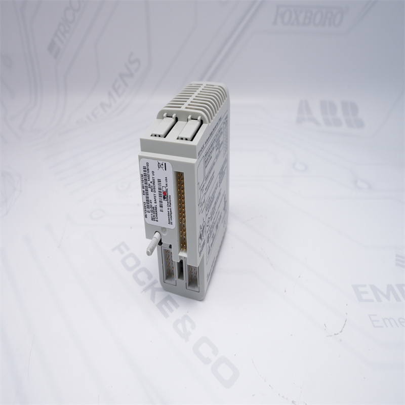 8811-IO-DC Genel Elektrik Giriş Çıkış Modülü