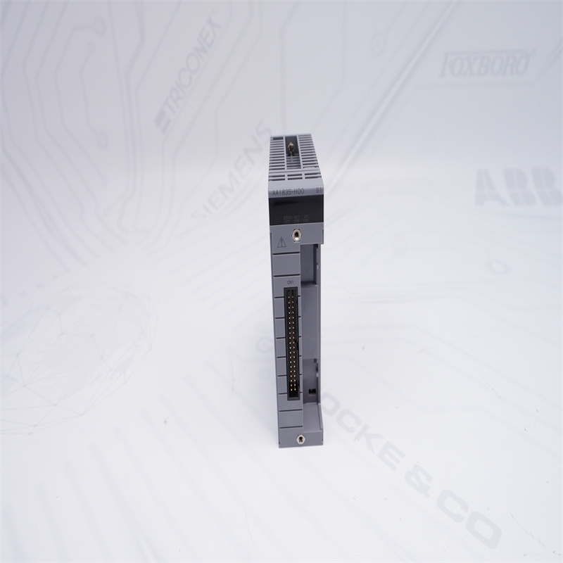 AAI835-H00 S1 YOKOGAWA Analog Giriş veya Çıkış Modülü