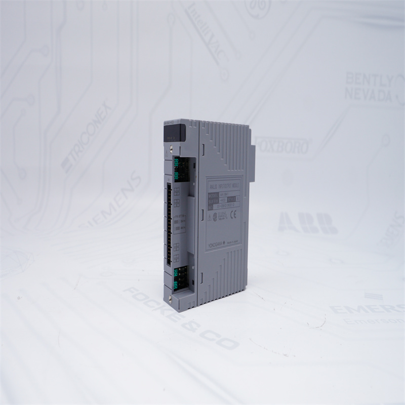 AAI841-H03 S1 YOKOGAWA Analog Giriş Ve Çıkış Modülü