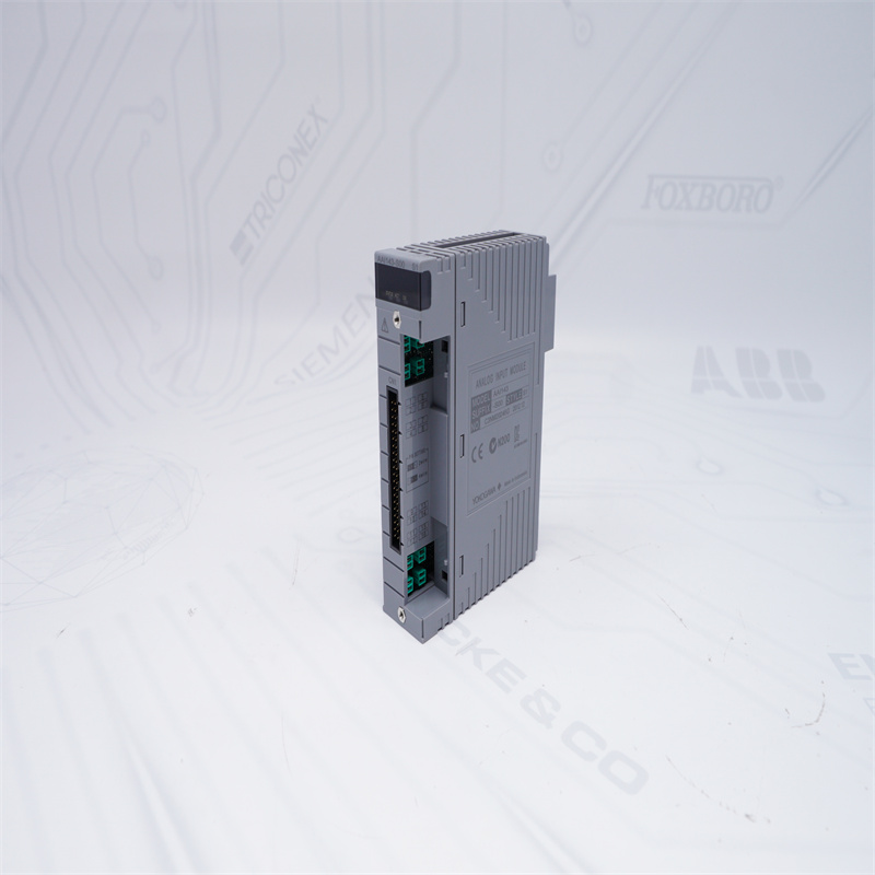 AAI143-S00 S1 YOKOGAWA Analog Giriş Modülü
