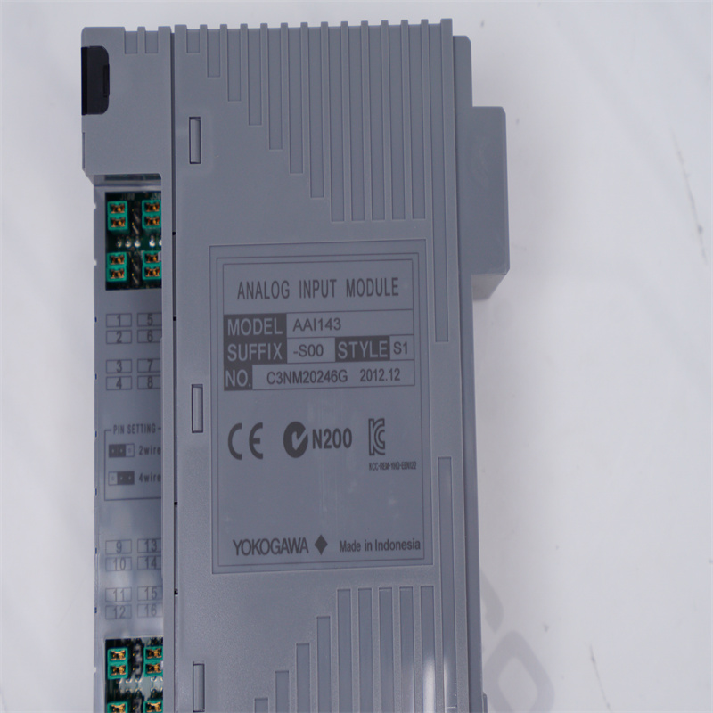 AAI143-S00 S1 YOKOGAWA Analog Giriş Modülü