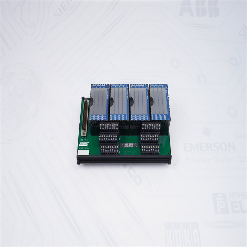 P0916NG FBM242 Foxboro SONLANDIRMA TERKİBİ