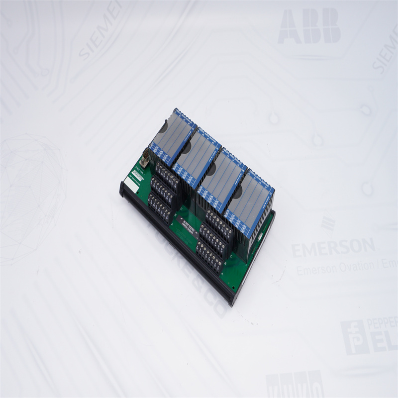 P0916NG FBM242 Foxboro SONLANDIRMA TERKİBİ