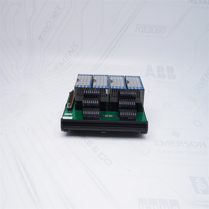 P0916NG FBM242 Foxboro SONLANDIRMA TERKİBİ