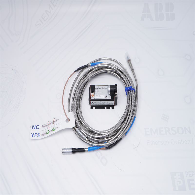 PR6423/13R-030 CON021 Emerson Girdap Akımı Sensörü