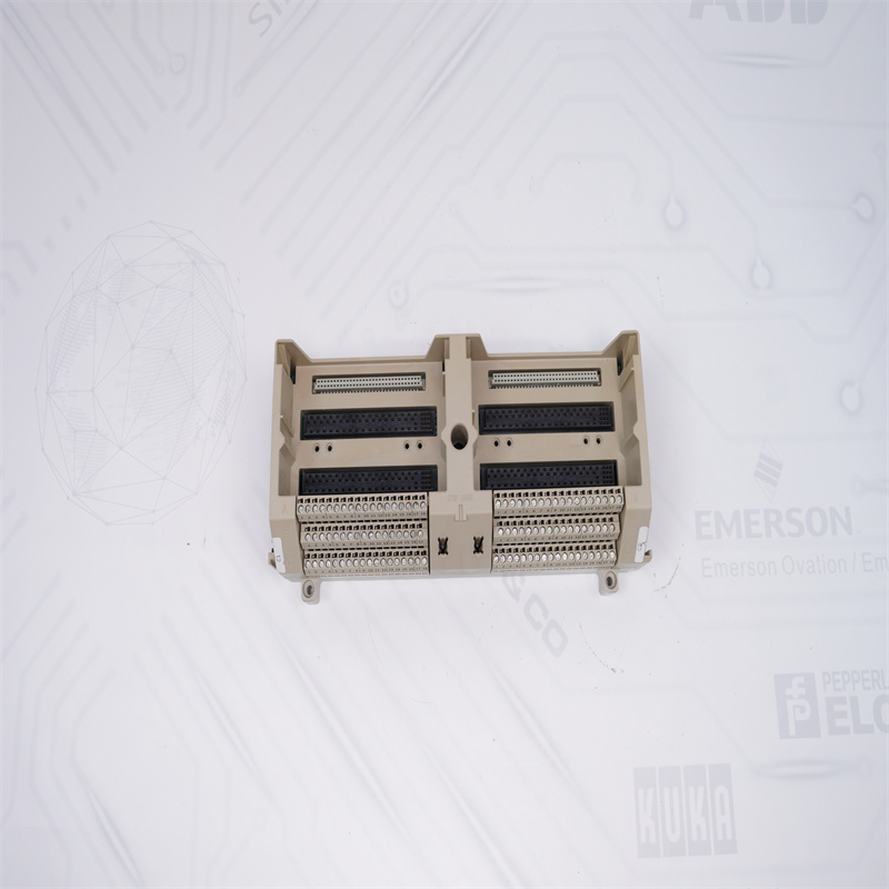 EMERSON 1B30035H01 G/Ç Sonlandırma Tabanı