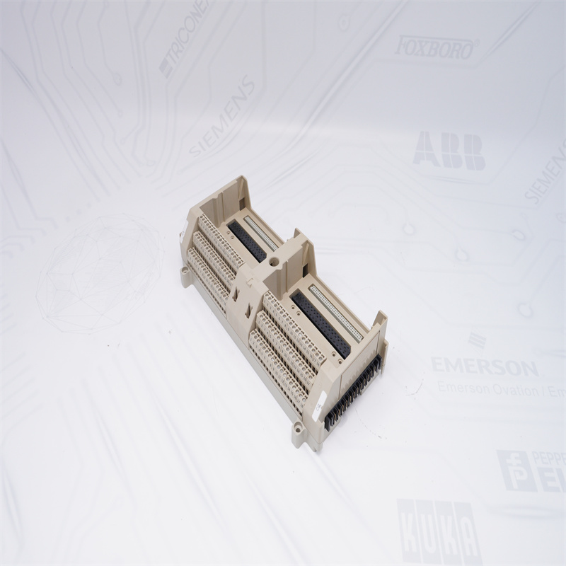 EMERSON 1B30035H01 G/Ç Sonlandırma Tabanı