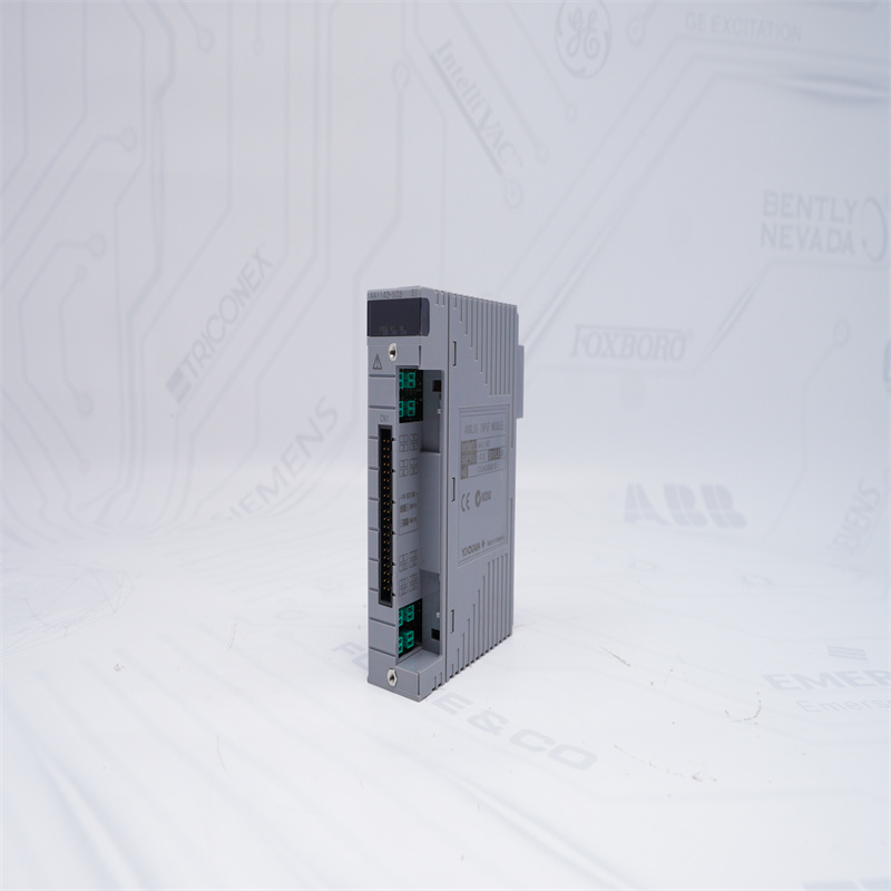 Yokogawa AAI143-S03 S1 Analog Giriş Modülü