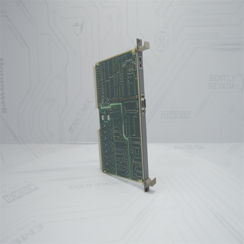 ABB 81EA02E GJR2366000R1000 Analog Giriş Modülü