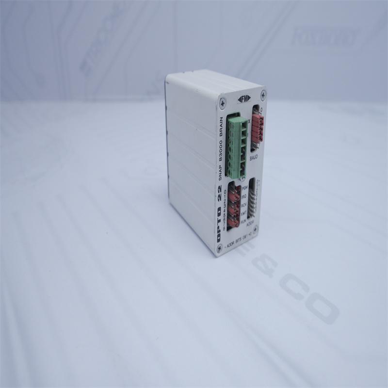 OPTO 22 SNAP B3000 BEYİN