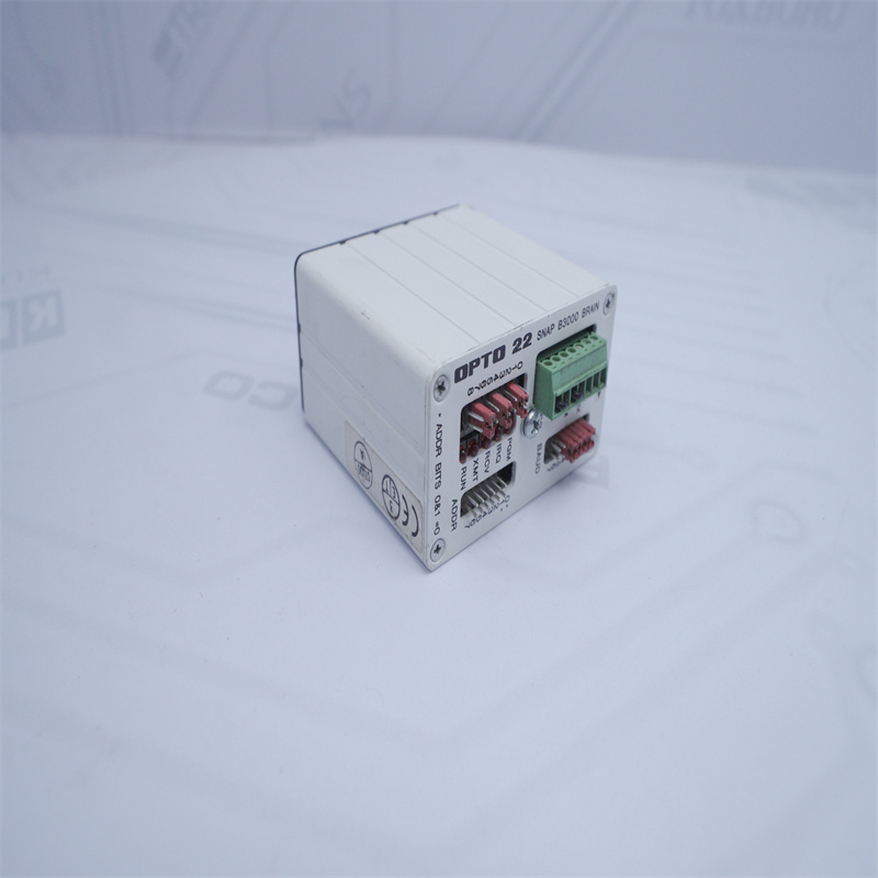 OPTO 22 SNAP B3000 BEYİN