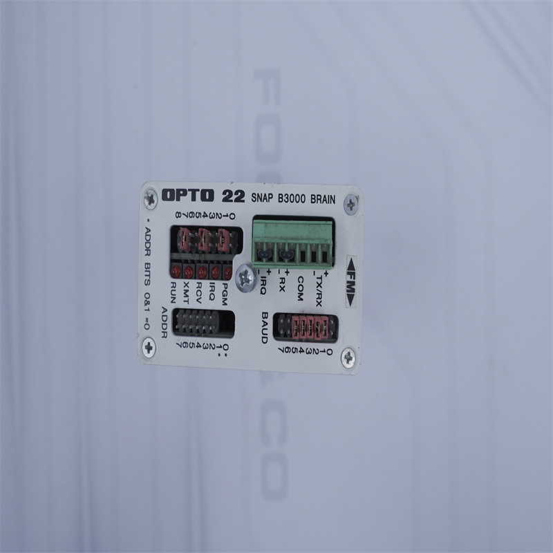 OPTO 22 SNAP B3000 BEYİN