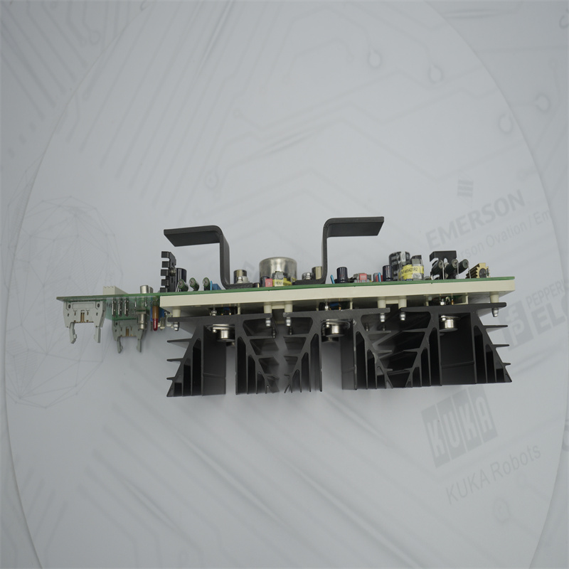 ABB HENF209556R0002 P1LA Kontrolör Modülleri