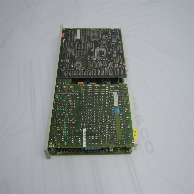 6DS1731-8DD SIEMENS Analog Giriş Modülü
