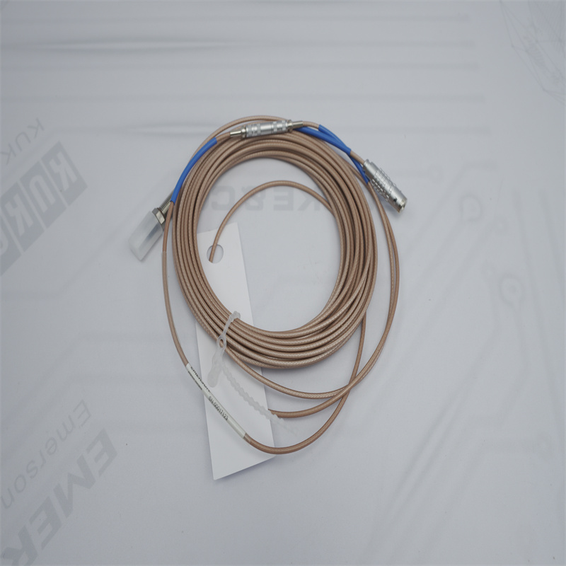 PR6423/10R-040 EMERSON Kontrol modülü