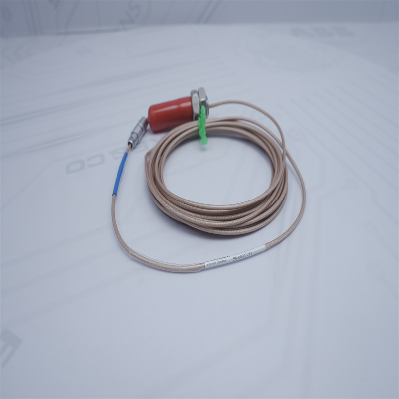 PR6424/000-110 Sensor de movimento EMERSON