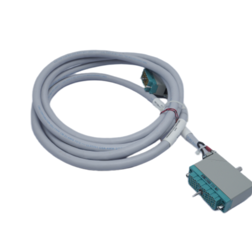 Triconex 4000093-310