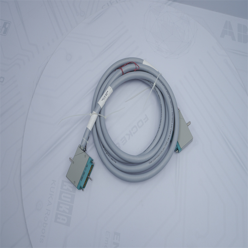 4000103-510 Triconex Kablo Düzeneği