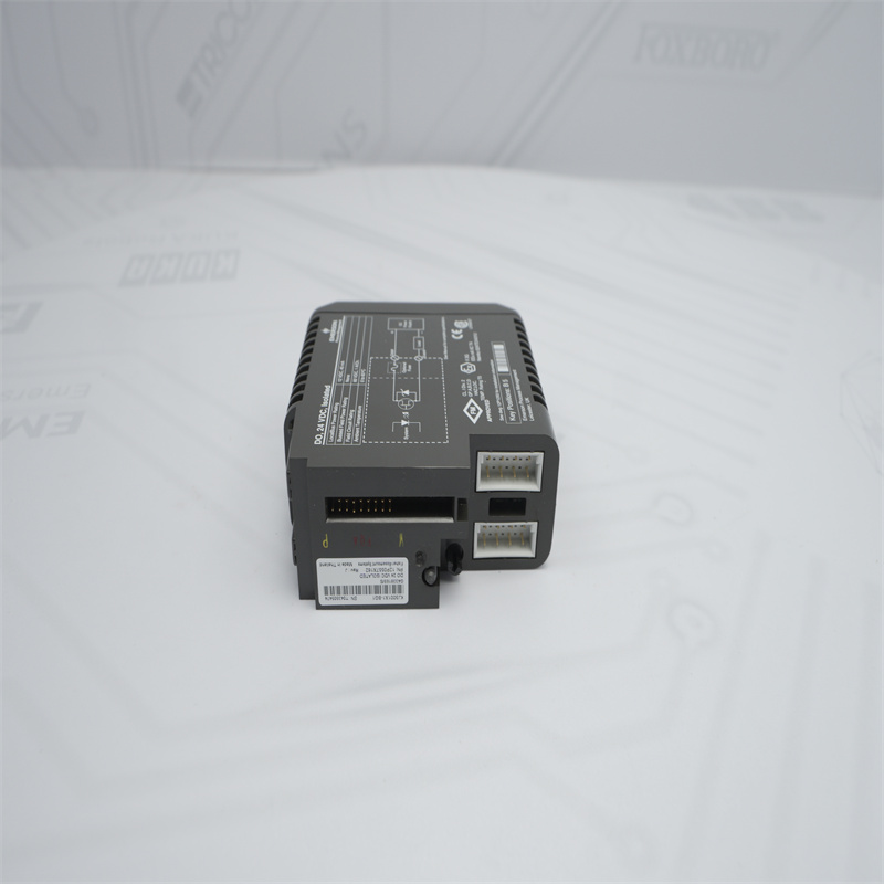 KJ3001X1-BG1 12P0557X162 EMERSON Dijital Çıkış İzoleli