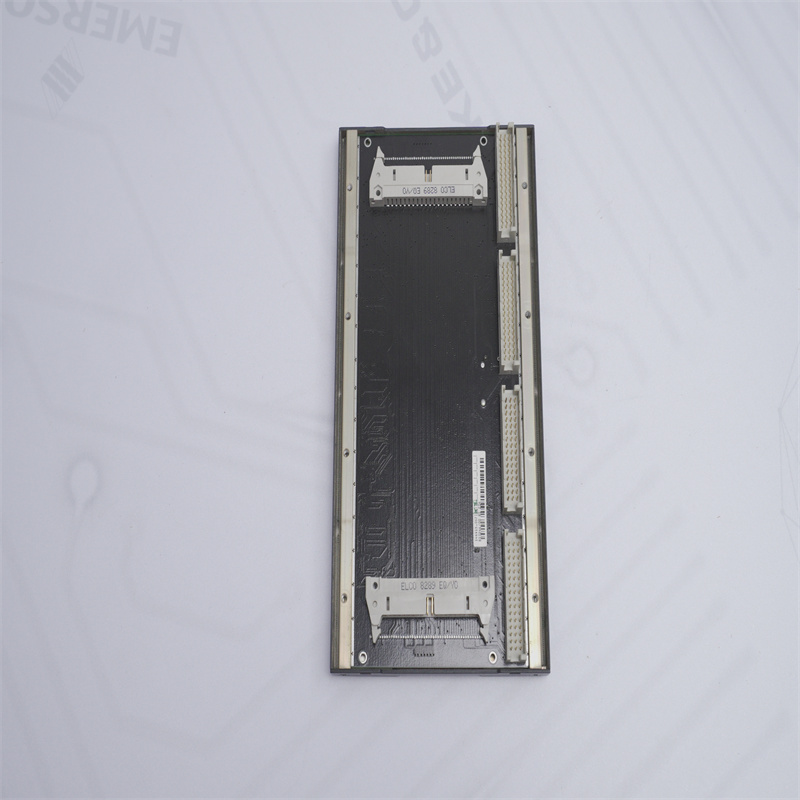 B10246/00BS204 BACHMANN Arka Panel MODÜLÜ