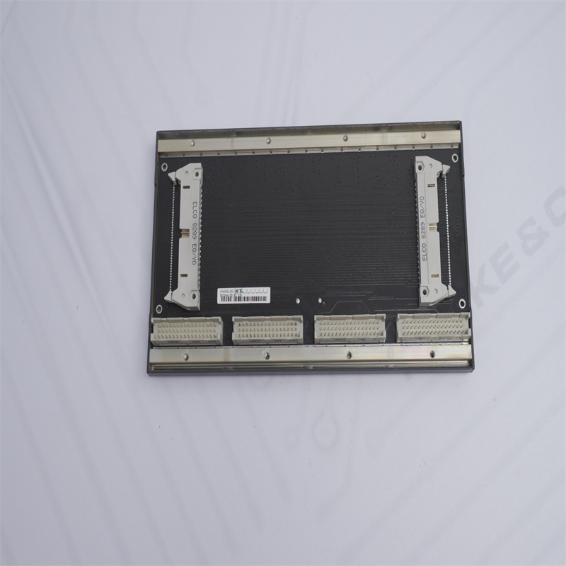 B10246/00BS204 BACHMANN Arka Panel MODÜLÜ