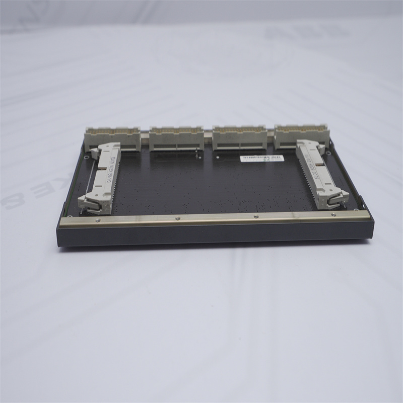 B10246/00BS204 BACHMANN Arka Panel MODÜLÜ