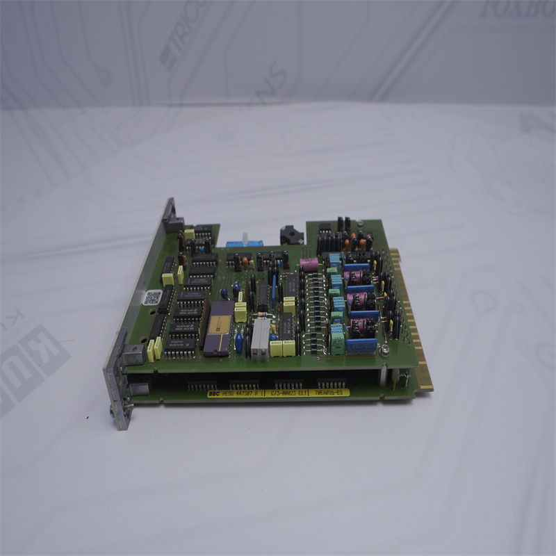 ABB 70EA01B-ES Prokontrol Analog Giriş Modülü