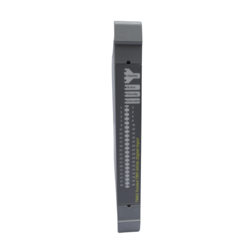 ICS TRIPLEX T8403