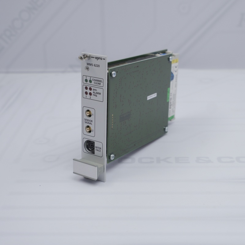 MMS6220 EMERSON EPRO Çift Kanallı Şaft Eksantriklik Monitörü