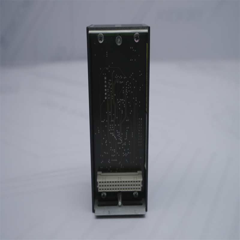 BACHMANN EM203 Endüstriyel Ethernet Master