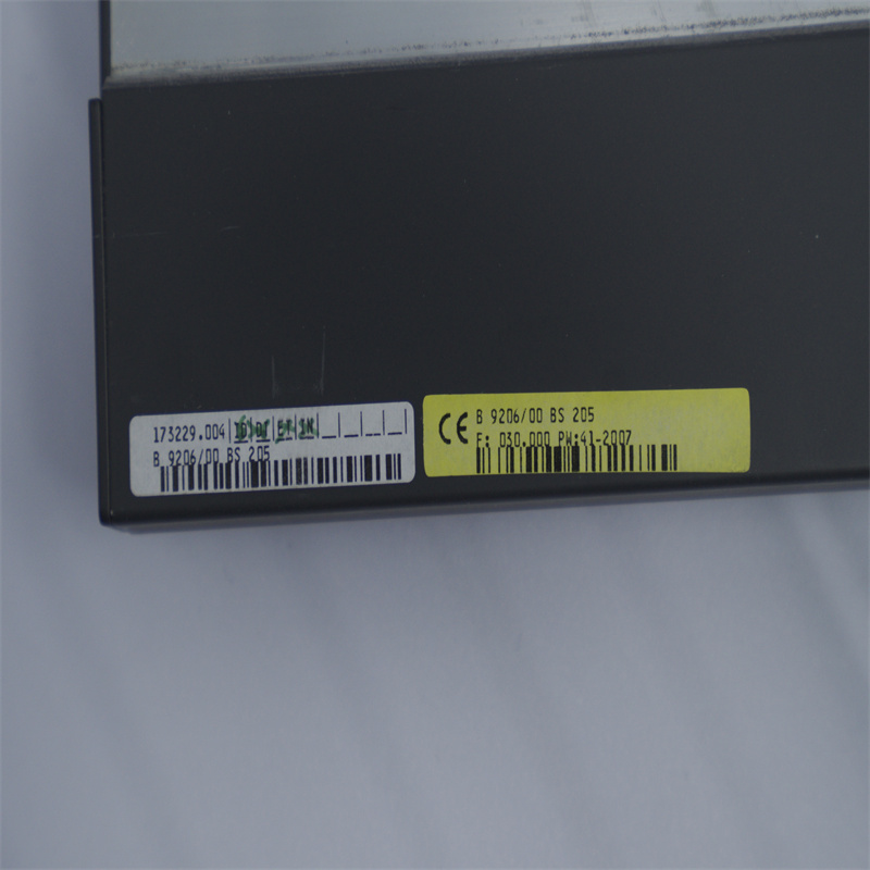 Módulos de hardware do controlador BACHMANN BS205 M1