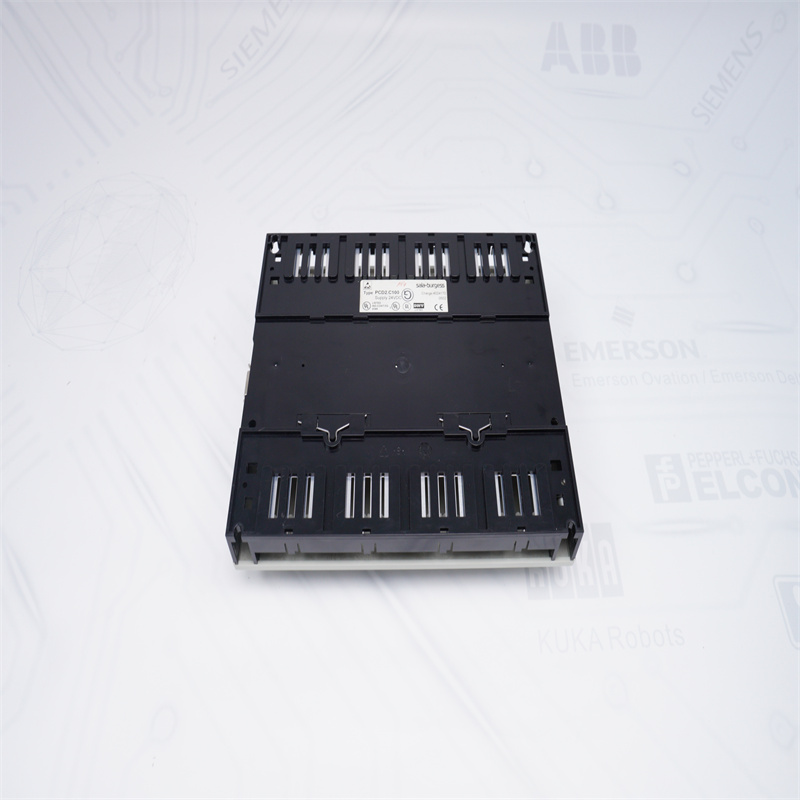 Saia-Burgess PCD2.C100 Analog Giriş Modülü