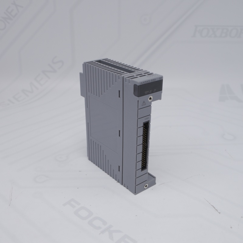AAI543-S50 S1 YOKOGAWA Analog Çıkış Modülü