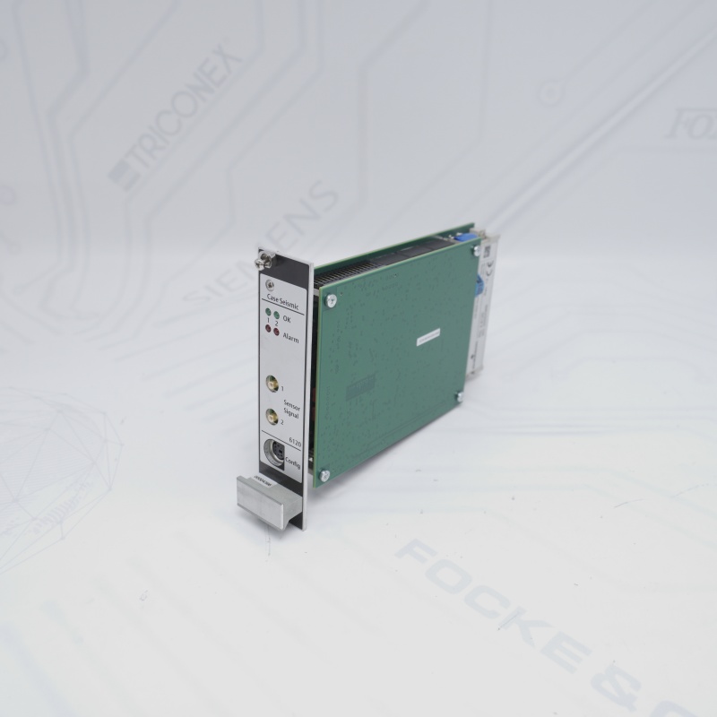A6120 EMERSON Kasa Sismik Titreşim Monitörü