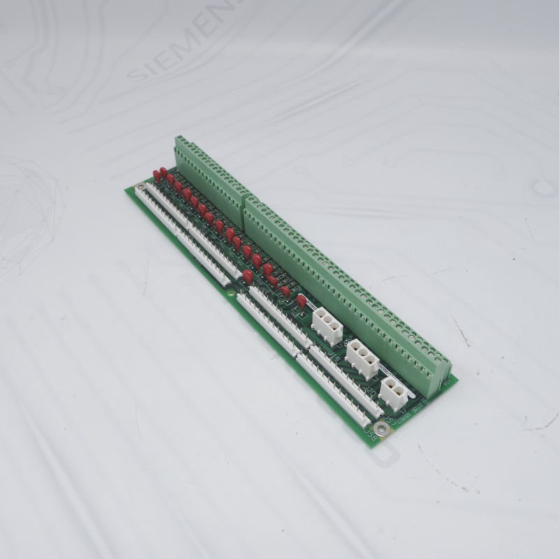 DS200DTBDG1ABB GE Terminal Kartı