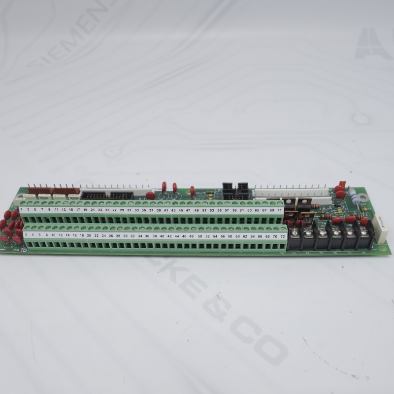 DS200PTBRG1BBA GE Sonlandırma Kartı