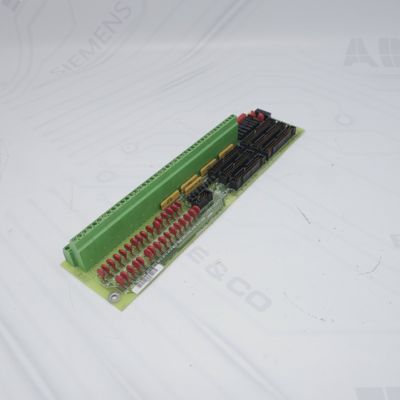 DS200TBQCG1AAA GE RST Analog Sonlandırma Kartı