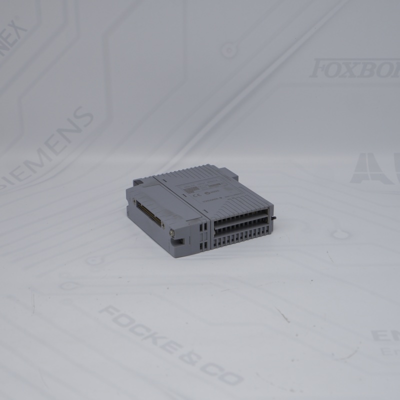 AAI143-H03 S1 YOKOGAWA Analog Giriş Modülü