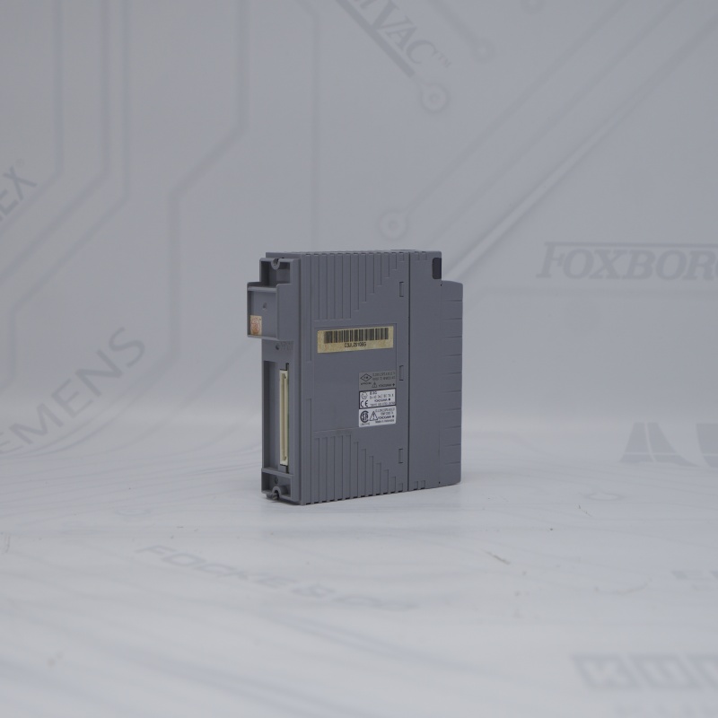 AAI143-H03 S1 YOKOGAWA Analog Giriş Modülü