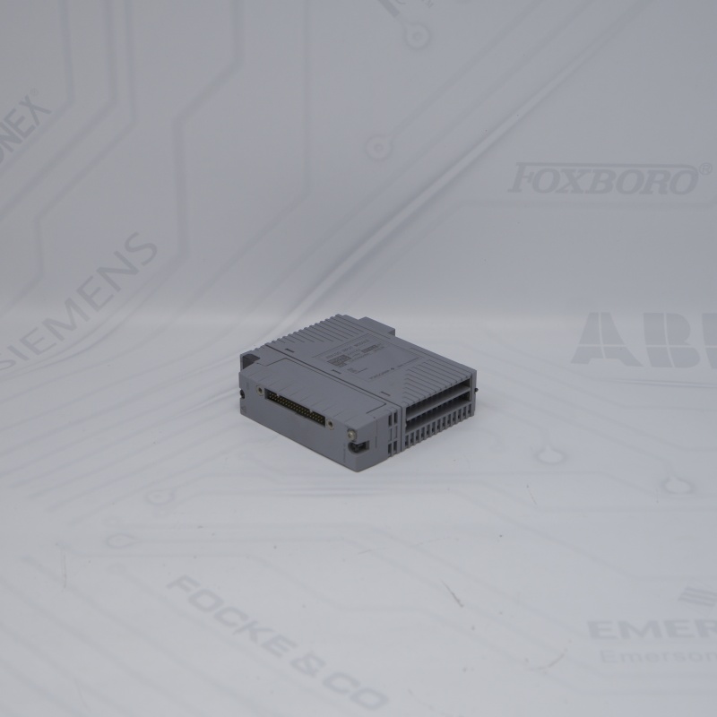 AAI143-H50 S1 YOKOGAWA Analog Giriş Modülü